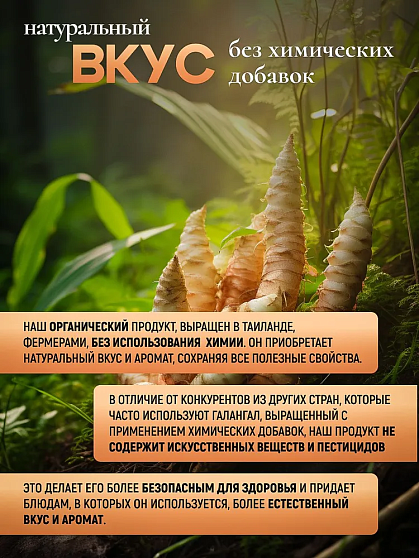 Галангал сушеный корень, 100 г , тайский чай